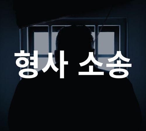 10.Criminal Litigation 형사 소송