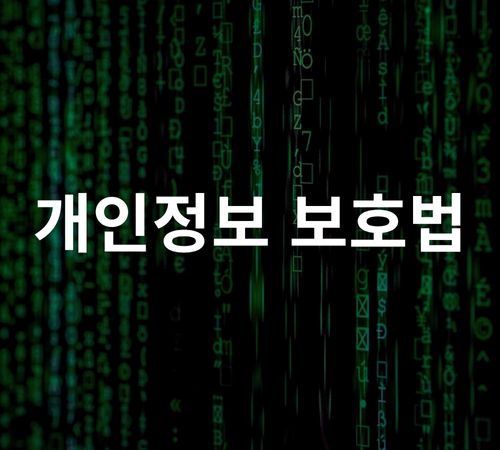 11.Data Protection 개인정보 보호법