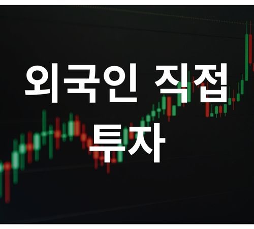 16.Foreign Direct Investment 외국인 직접 투자