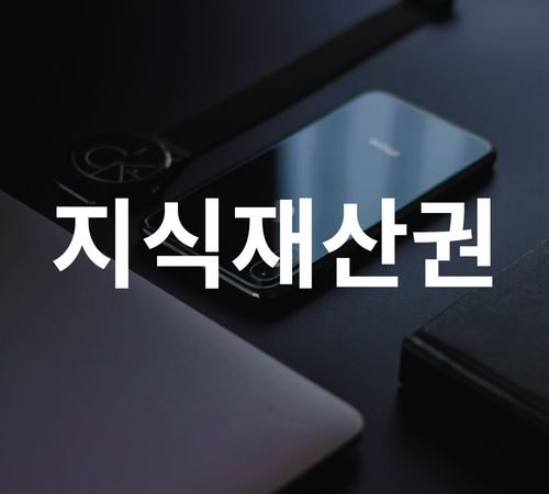 17.Intellectual Property 지식재산권