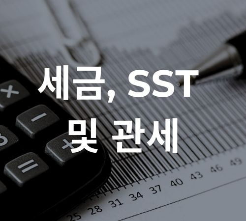 21.Tax, SST, & Custom 세금, SST 및 관세