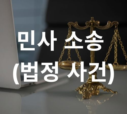 4. Civil Litigation (Court Case) 민사 소송 (법정 사건)
