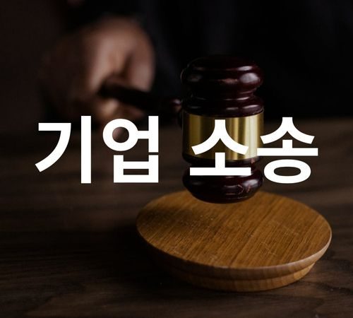 9.Corporate Litigation 기업 소송